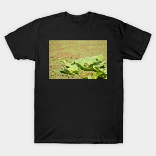 Prince Of The Lily Pods T-Shirt